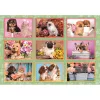 Clementoni Állatos Puppies Collage 180 db-os puzzle