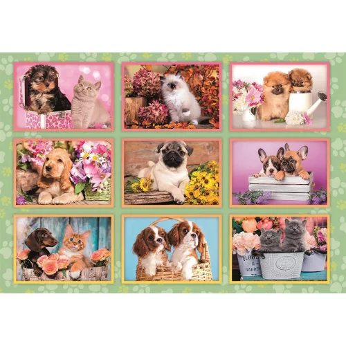 Clementoni Állatos Puppies Collage 180 db-os puzzle