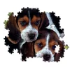 Clementoni Kutyás Beagles Close Together 500 db-os puzzle