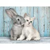 Clementoni Állatos Cat & Bunny 500 db-os puzzle Compact