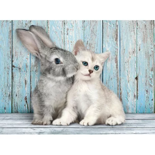Clementoni Állatos Cat & Bunny 500 db-os puzzle Compact