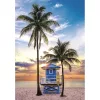 Clementoni Florida Miami Beach 500 db-os Compact puzzle