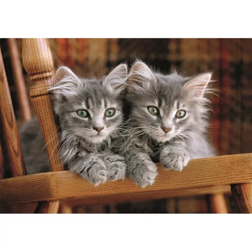 Clementoni Cicás Cozy Cat 500 db-os Compact puzzle 