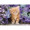 Clementoni Cicás Ginger 500 db-os Compact puzzle