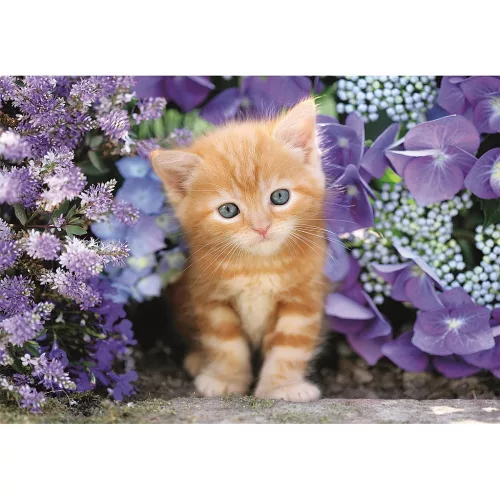 Clementoni Cicás Ginger 500 db-os Compact puzzle