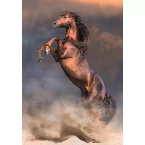 Clementoni Lovas Wild Stallion 500 db-os Compact puzzle