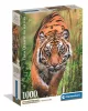 Clementoni Tigris Hunter's Path 1000 db-os Compact puzzle 