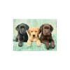 Clementoni Kutyás Labrador 1000 db-os puzzle 