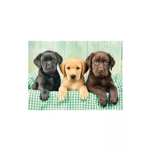Clementoni Kutyás Labrador 1000 db-os puzzle 