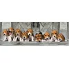 Clementoni Kutyás Beagles 1000 db-os panorama puzzle 