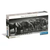 Clementoni Elefánt Herd of Giants 1000 db-os panorama Compact puzzle