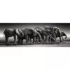 Clementoni Elefánt Herd of Giants 1000 db-os panorama Compact puzzle