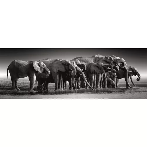 Clementoni Elefánt Herd of Giants 1000 db-os panorama Compact puzzle