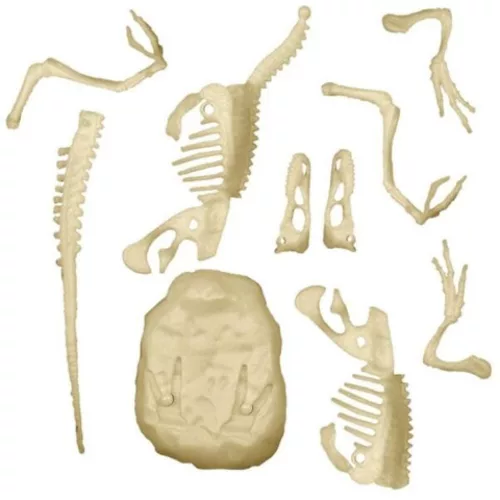 Clementoni Világító velociraptor Archeo Fun régészeti készlet