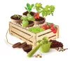 Clementoni Kertészeti Organic tudományos szett