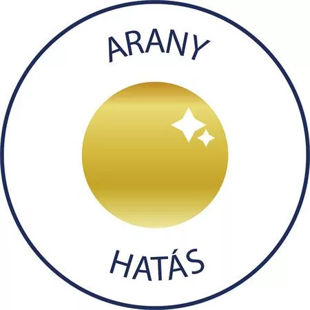 Matrica, 2 ív, 76x120 mm, AVERY ZWECKFORM, "Z-Design No.52225", arany csillagok