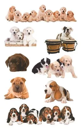 Matrica, papír,  3 ív, 76x120 mm, AVERY ZWECKFORM, "Z-Design No.55972", kölyök kutyák