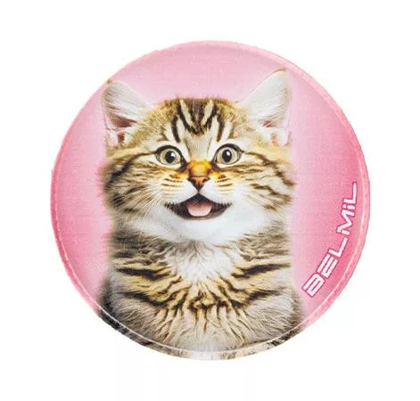 Matrica, tépőzáras, Classy Plus táskához, BELMIL "Cats", cica