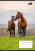 Füzet, tűzött, A5, vonalas, 32 lap, 1. osztály, COOL BY VICTORIA "Free Spirit", "14-32"