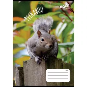   Füzet, tűzött, A5, vonalas, 32 lap, 2. osztály, COOL BY VICTORIA, "Peekaboo", "16-32"