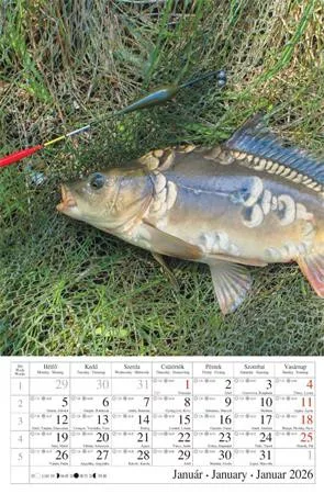 Naptár, fali, CSG "Horgász" 