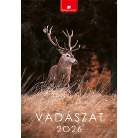 Naptár, fali, DAYLINER, "Vadászat"
