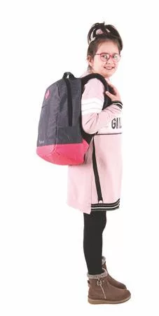 Hátizsák, notebook tartóval, PULSE "Bicolor", szürke-pink