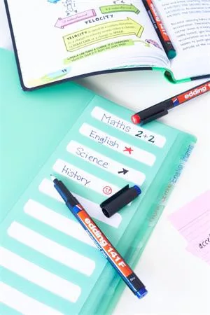 Alkoholos marker, OHP, 0,6 mm, EDDING "141 F", fekete