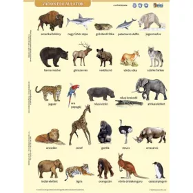   Tanulói munkalap, A4, STIEFEL" Vadon élő állatok"