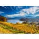 Vineyards, 2000 pcs (58953) Weinberge