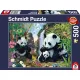 Panda family at the waterfall, 500 db (57380) Pandafamilie am Wasserfall (57380)