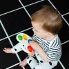 Baby Einstein Érzékszervi játék paletta Color Pop Palette™ 6m+
