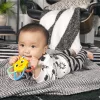 Baby Einstein Rágóka csörgővel Soothing Star BPA mentes - 0hó+