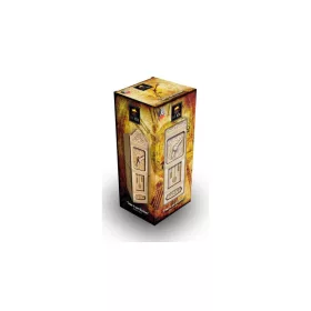 Secret Escape box - Grandfather Clock