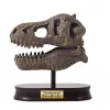 Tyrannosaurus koponya felfedező készlet BUKI