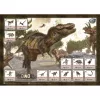 Buki Mega dino felfedező készlet 12 db meglepetés tojással  (2138)