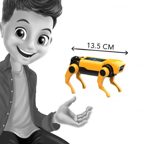 Mini Lab, RC robotkutya építő kélszlet BUKI