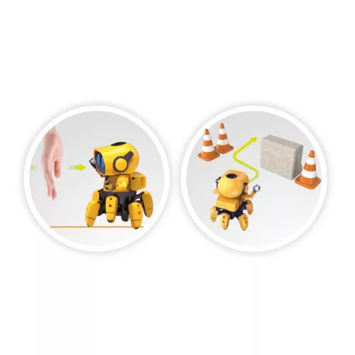 Tibo robot BUKI