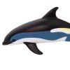 Atlanti fehérsávos delfin Safari