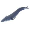 Kék bálna Safari