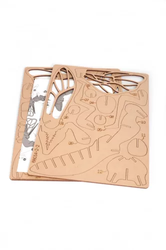 Graine Creative 3D puzzle – Imádkozó sáska