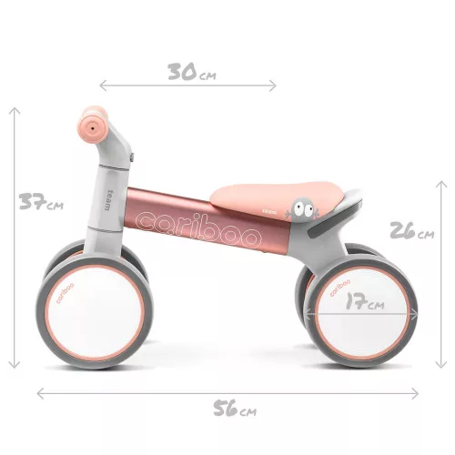 Cariboo csomag - Team kismotor bukósisakkal és ajándék védőfelszereléssel (több színben)