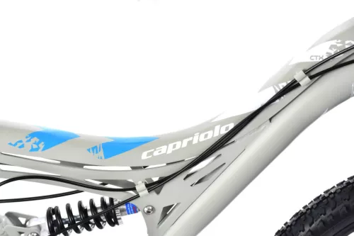 Capriolo CTX 240 24" gyerek kerékpár Szürke-Kék