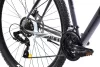 Capriolo Oxigen 29er MTB kerékpár 21" Grafit-Piros