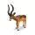 Bullyland 63693 Impala antilop