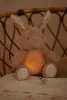 Little Dutch alvást segítő zenélő nyuszi éjjeli fénnyel - Newborn Naturals