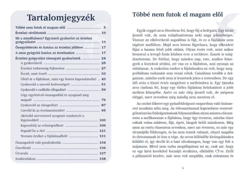 Érzelmi gyógyulás könyv