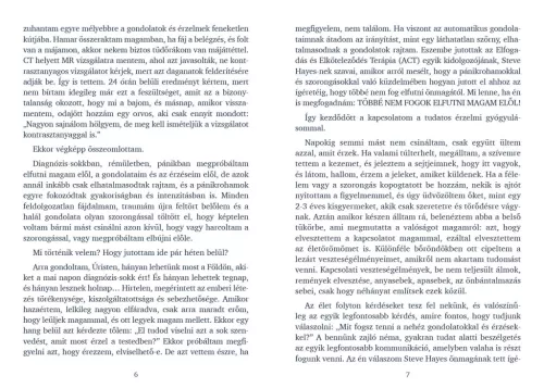 Érzelmi gyógyulás könyv