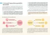 Stresszcsökkentés helyett hasznosítsd a stresszt