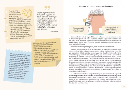 Stresszcsökkentés helyett hasznosítsd a stresszt